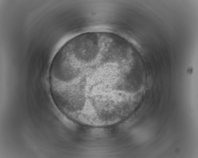 X0000091961470200709271336