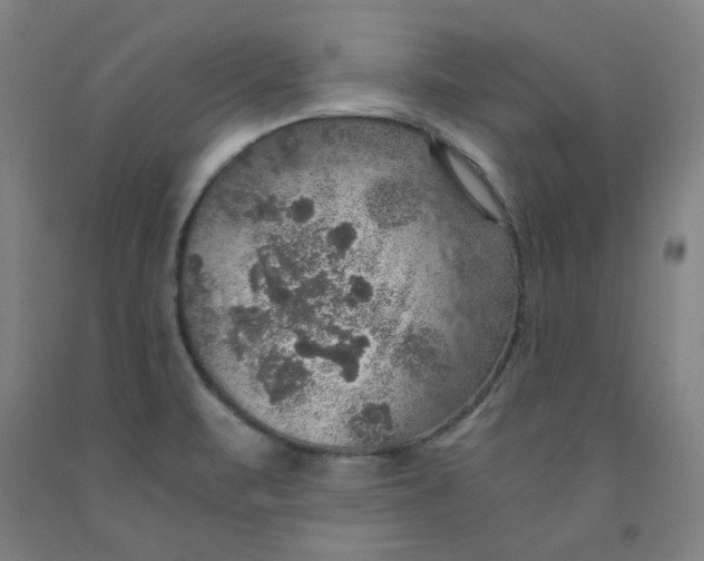 X0000091961471200709271336