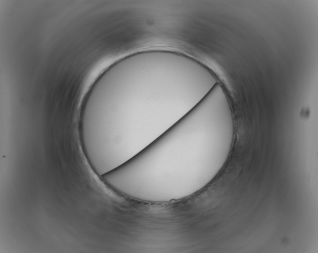 X0000091961472200709271336