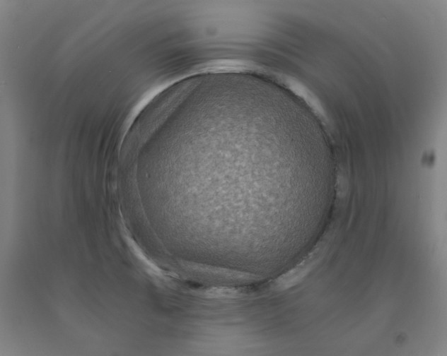 X0000091961473200709271336