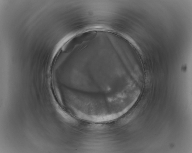 X0000091961474200709271336