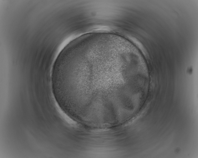 X0000091961475200709271336