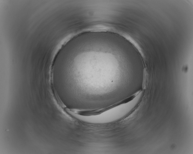 X0000091961477200709271336