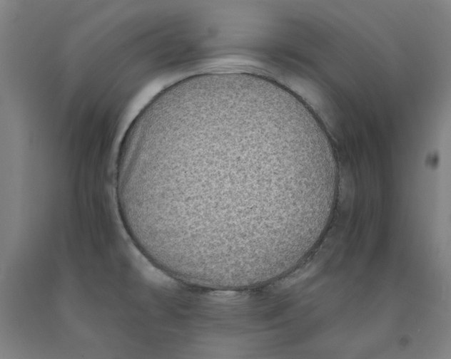 X0000091961478200709271336