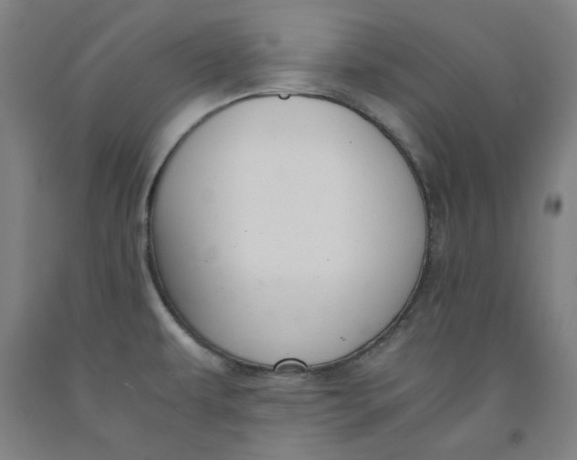 X0000091961479200709271336