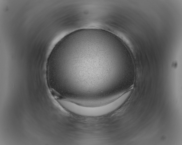 X0000091961480200709271336