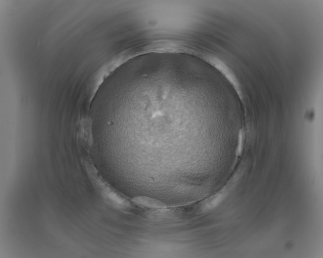 X0000091961481200709271336