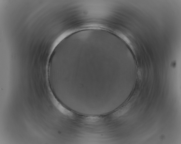 X0000091961482200709271336