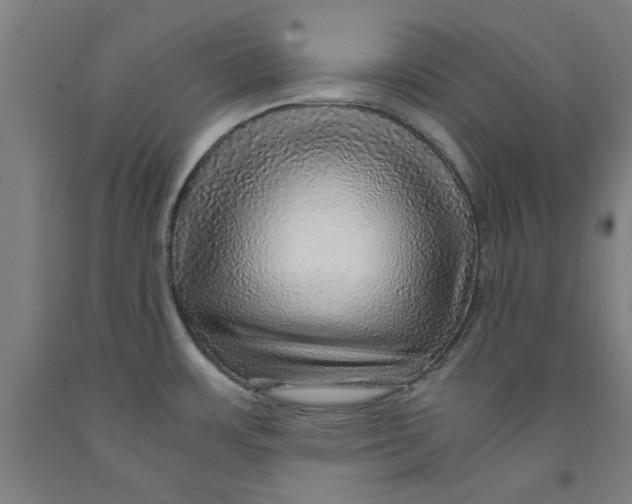 X0000091961483200709271336