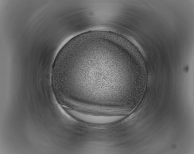 X0000091961484200709271336