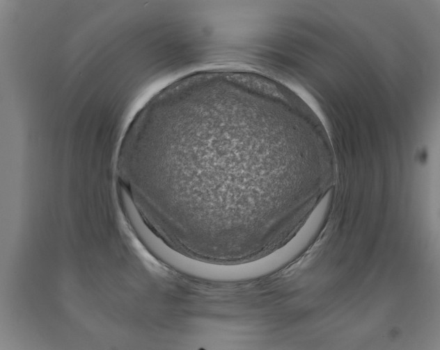 X0000091961485200709271336