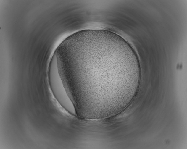 X0000091961488200709271336