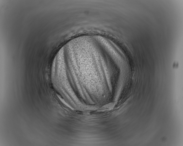 X0000091961490200709271335