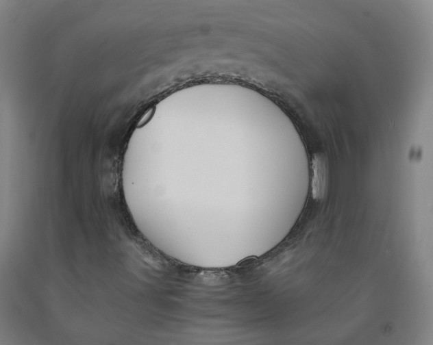 X0000091961491200709271335