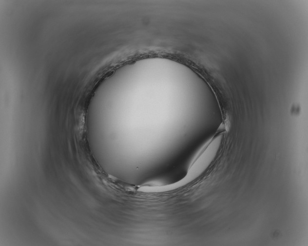 X0000091961492200709271335