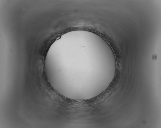 X0000091961493200709271335