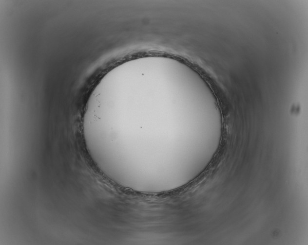 X0000091961495200709271335