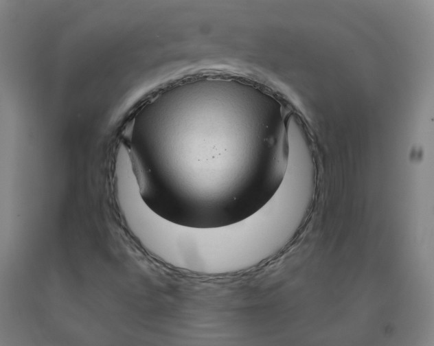 X0000091961496200709271335