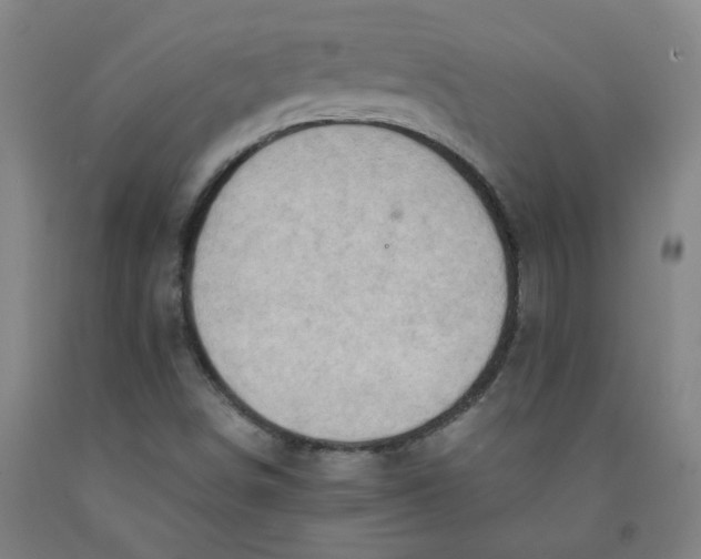 X0000091961498200709271335