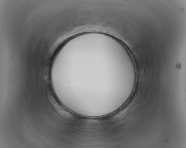 X0000091961499200709271335