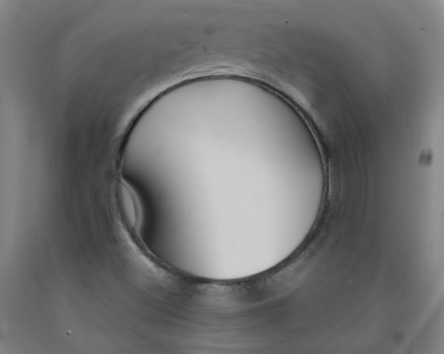 X0000091961500200709271335