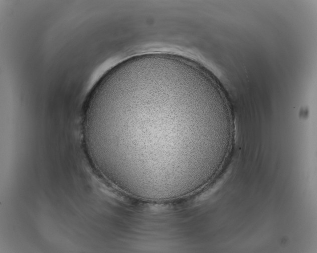 X0000091961501200709271335