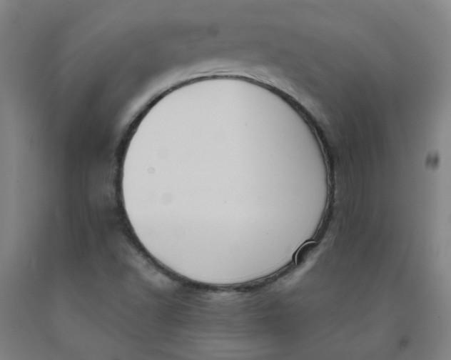 X0000091961502200709271335