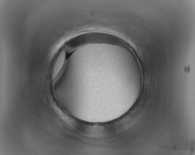 X0000091961503200709271335