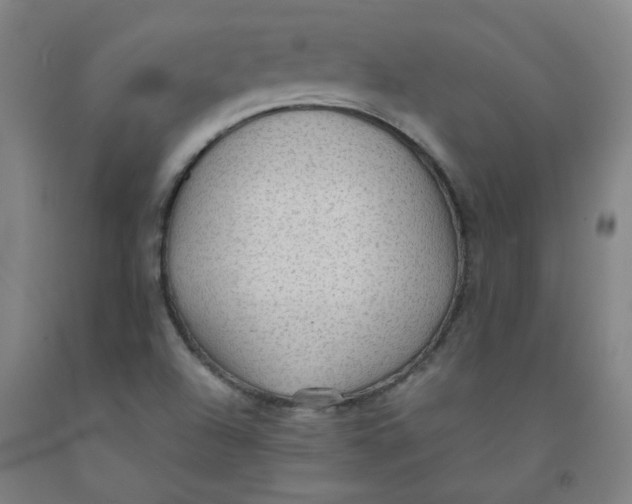 X0000091961504200709271335