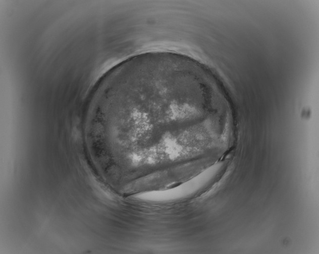 X0000091961505200709271335