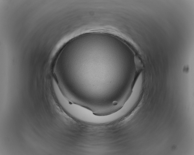 X0000091961506200709271335