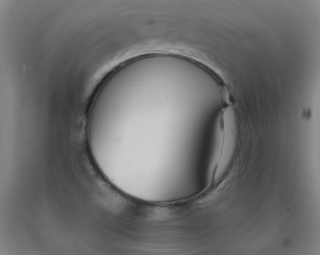 X0000091961507200709271335