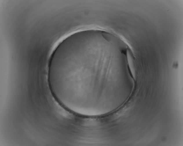 X0000091961508200709271335