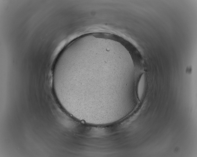 X0000091961509200709271335