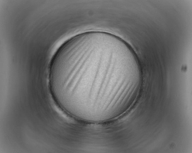 X0000091961511200709271336