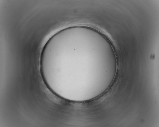 X0000091961512200709271336