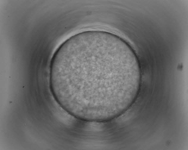 X0000091961514200709271336