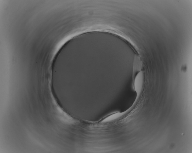 X0000091961515200709271336