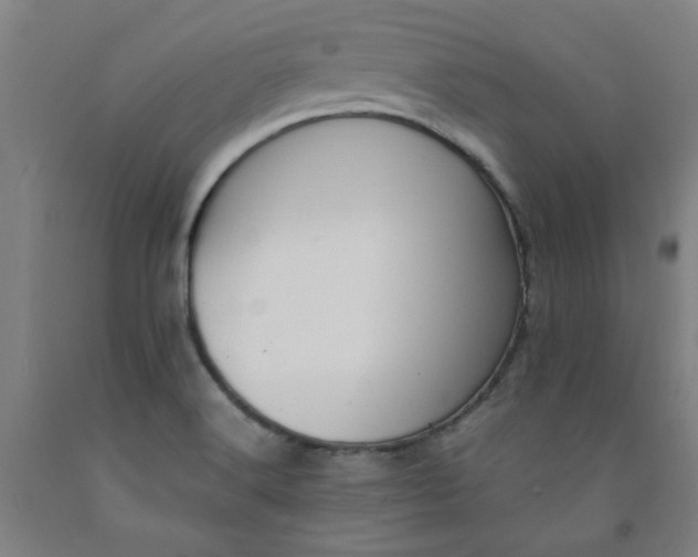 X0000091961516200709271336