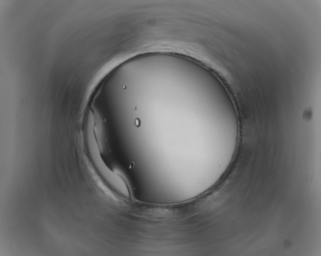 X0000091961517200709271336