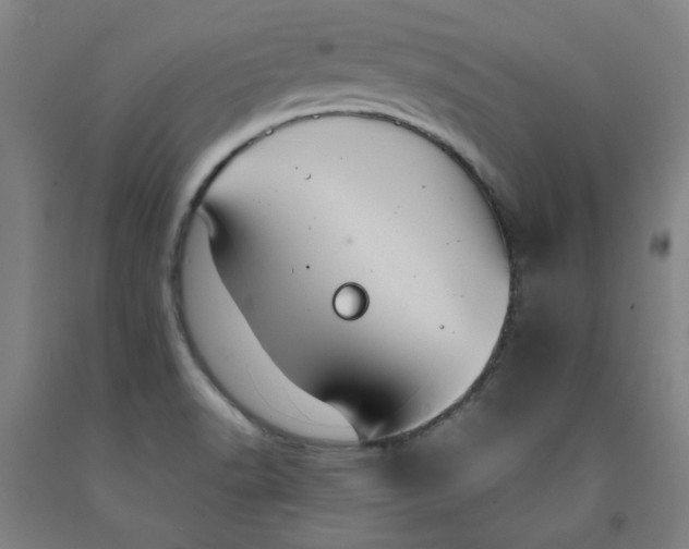 X0000091961518200709271336