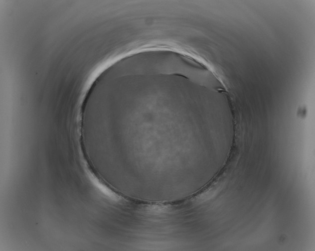 X0000091961519200709271336