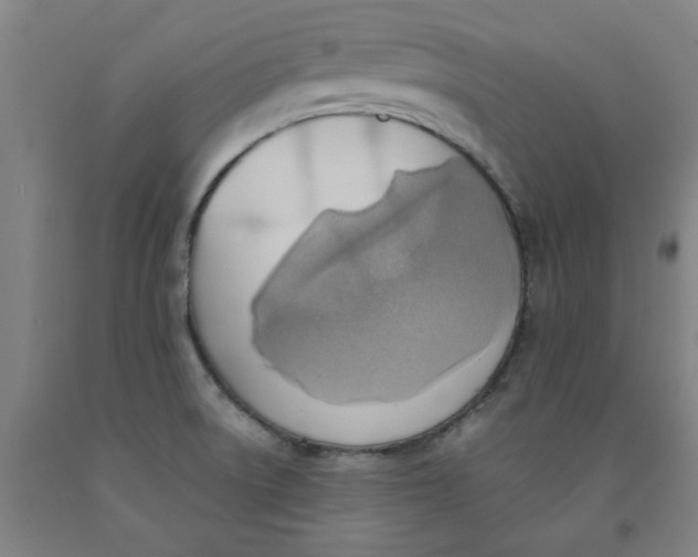 X0000091961522200709271336