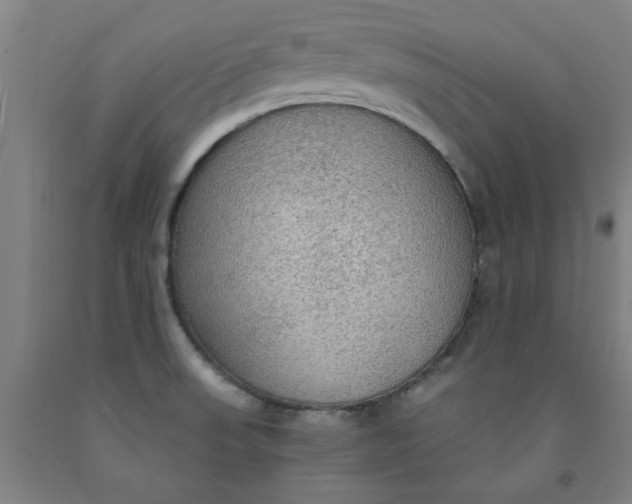 X0000091961523200709271336