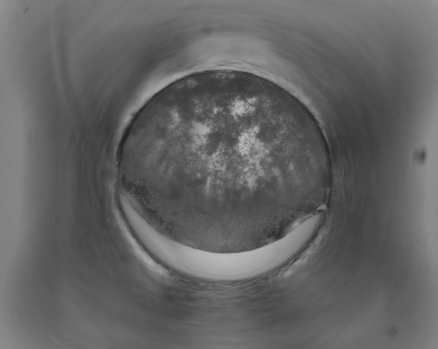 X0000091961525200709271336