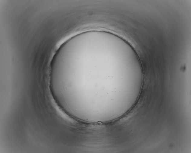 X0000091961526200709271336