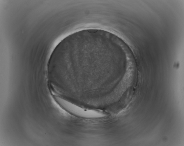 X0000091961527200709271336