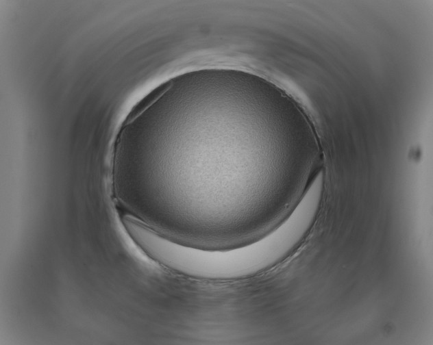 X0000091961528200709271336