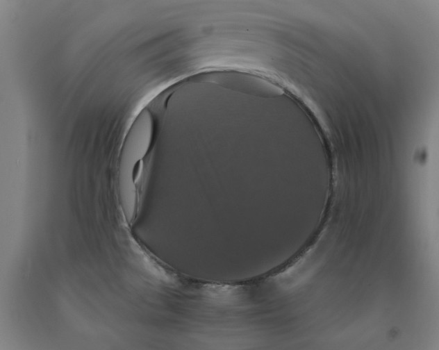 X0000091961529200709271336