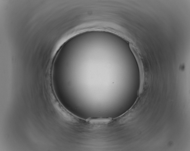 X0000091961530200709271336